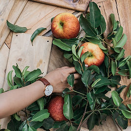 Organic Apples
