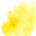 yellow and white watercolor.jpg