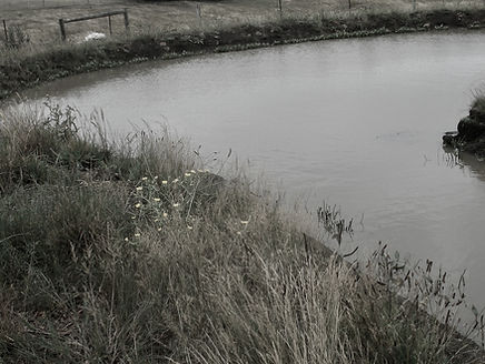 6a.JPG