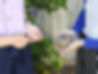 TheInnerCollective_Greenery_HR-16.jpg