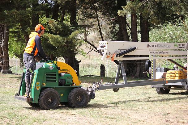 PM Tree Worx | arborist macedon ranges | Macedon Ranges, VIC, Australia