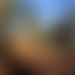 Macedon Primary School