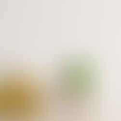 The Legacy of Craftsmanship: Why Brisbane Professional Painters Stand Out