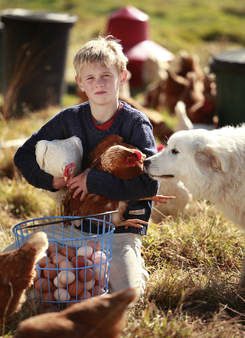 Interview with an egg farmer
Stephanie Alexander Kitchen Garden Foundation.