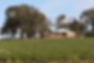 212A9617.jpeg
