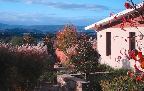 sue meli landscape photo.jpg