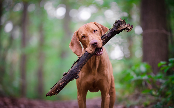 Blue Artsy Weekly Newsletter Email Header_edited.png