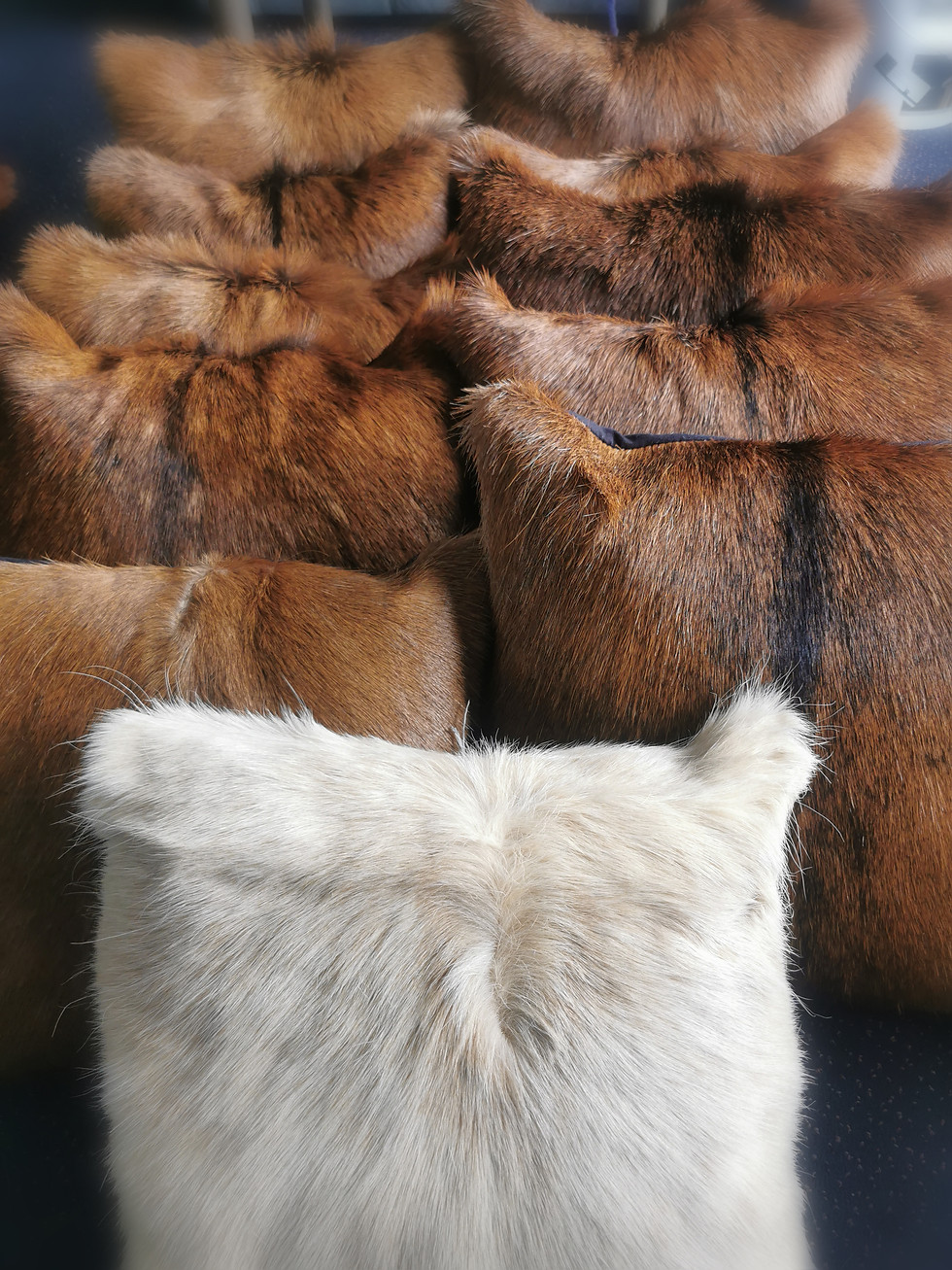 Thumbnail: West Coast Red Deer Cushion