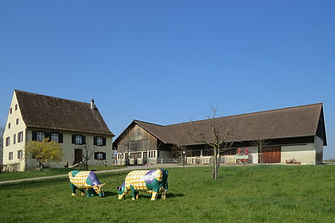 Schlatthof.jpg