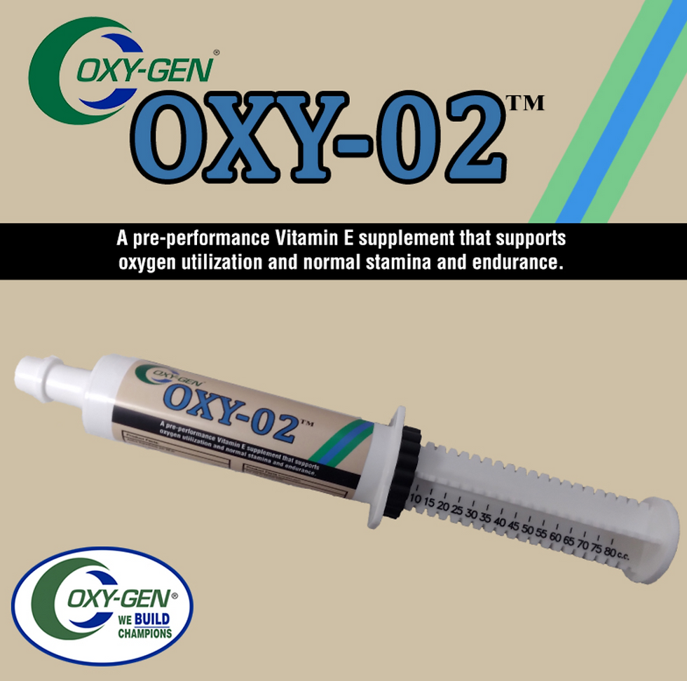 Oxy O2 / EQUINE 7