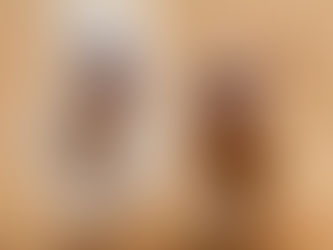 The Top 5 Popular Dog Breeds of 2024: Let's Discuss the Top Furry Companions