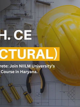 Design the Future with NIILM University’s Structural Engineering Course in Haryana