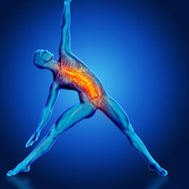 fascia.jpg