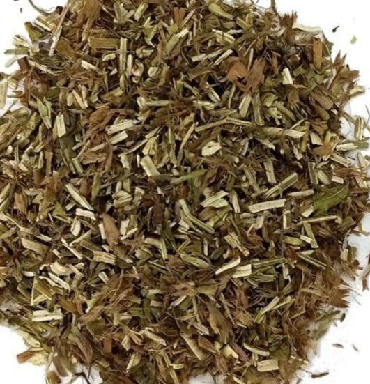 Hyssop (Hyssopus officinalis)