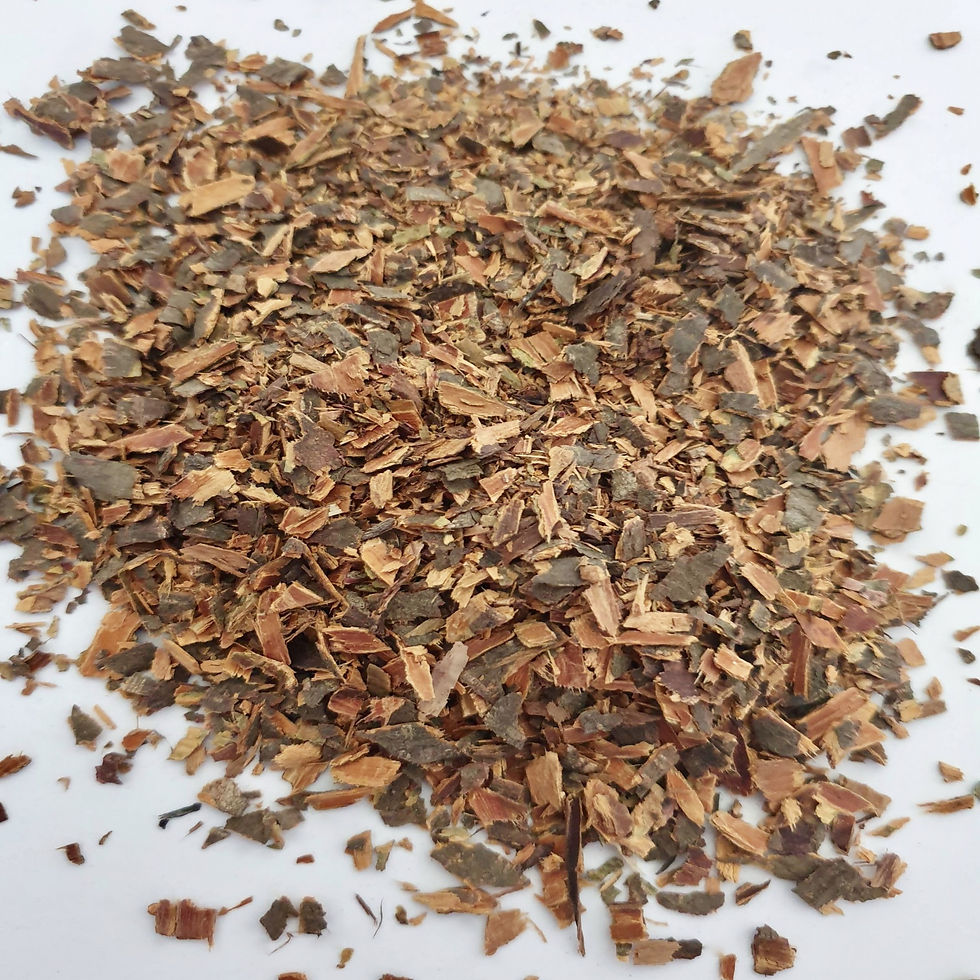 Buckthorn (Rhamnus frangula)