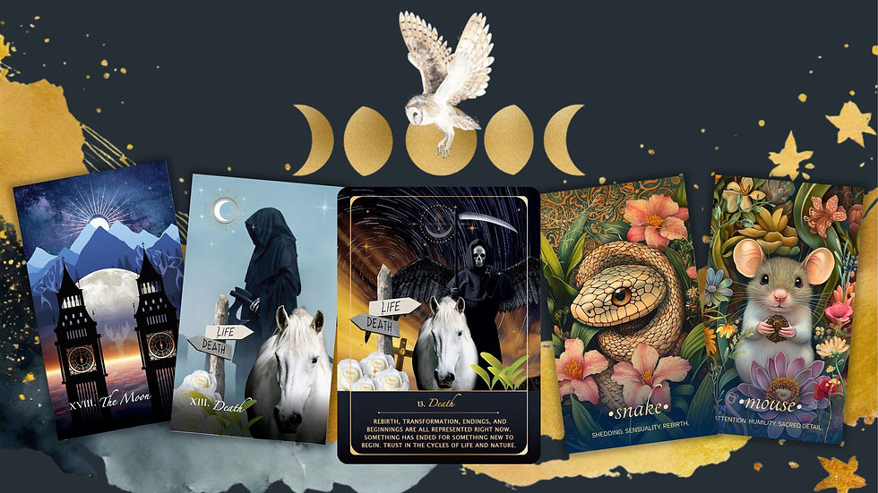 Images from all three decks from the Feather on the Moon Tarot and oracle decks