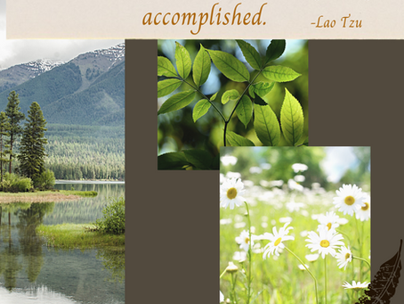 Patience...is not my strongest virtue.