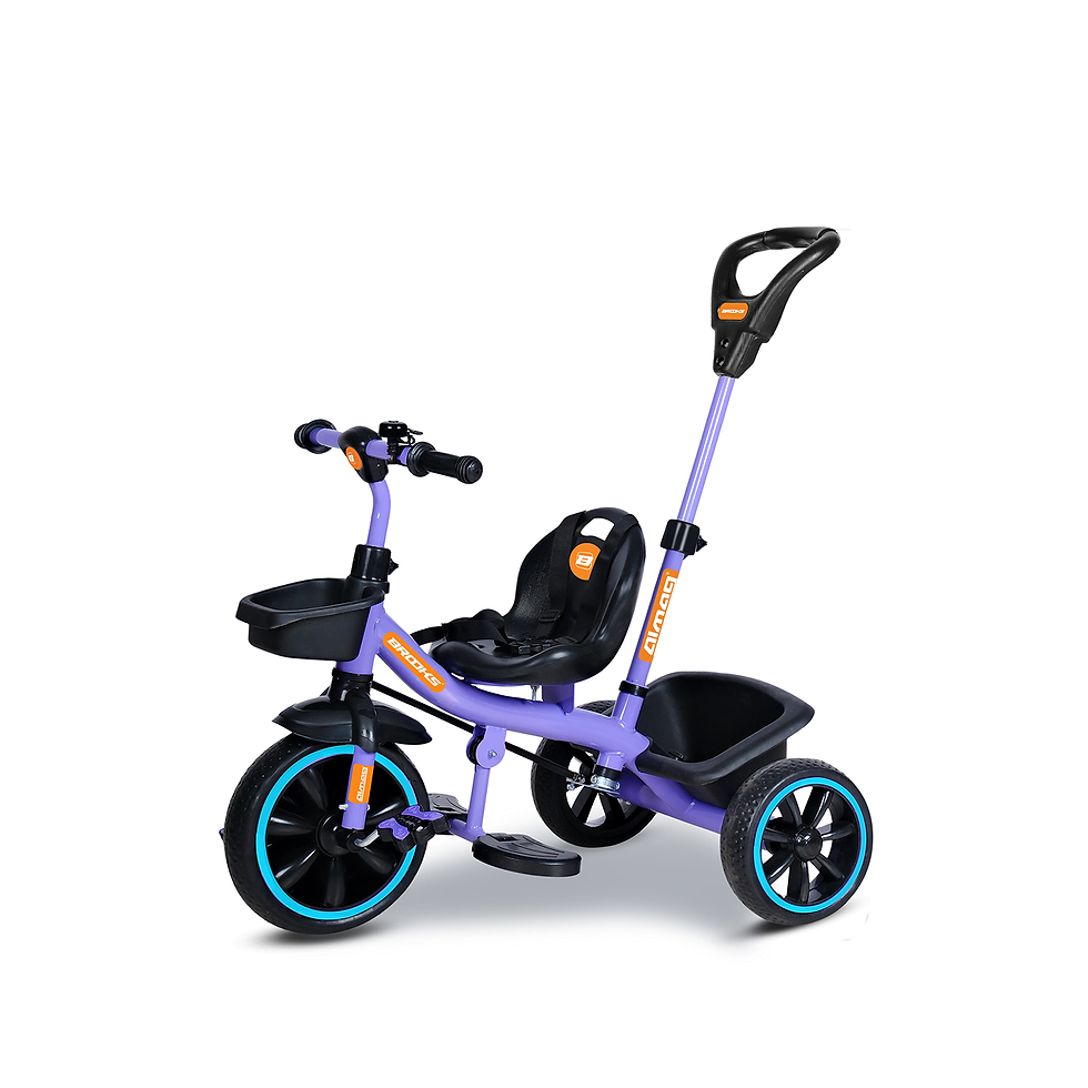 Thumbnail: Brooks Almag LX