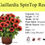 Thumbnail: Gaillardia SpinTop Red