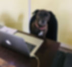 IMG_0342.jpeg