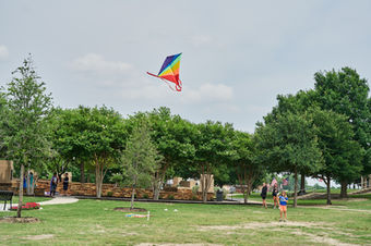 OVD05406 .jpg