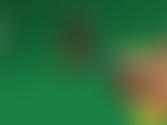 Concertino Praga: udílíme novou cenu