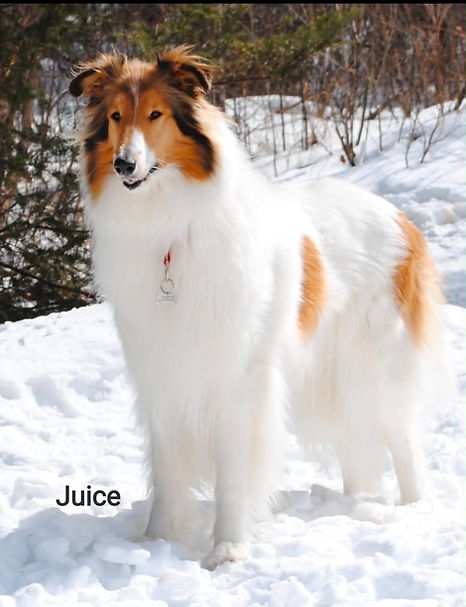 Juice_edited.jpg