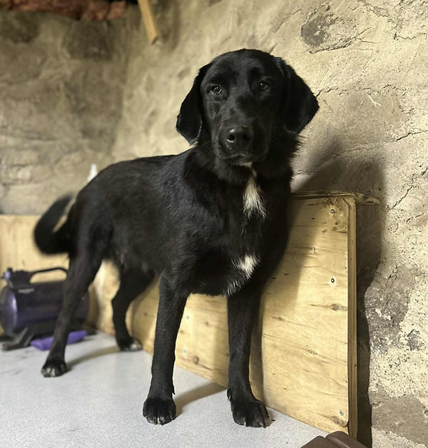 2025-08-02 (9) Lady.jfif