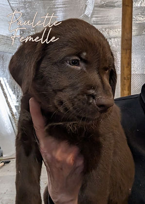 20260125 Paulette.jpg