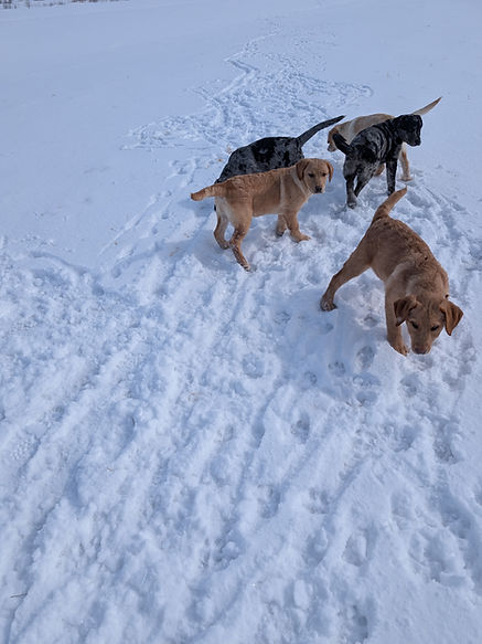 20260321 Ensemble (1).jpg