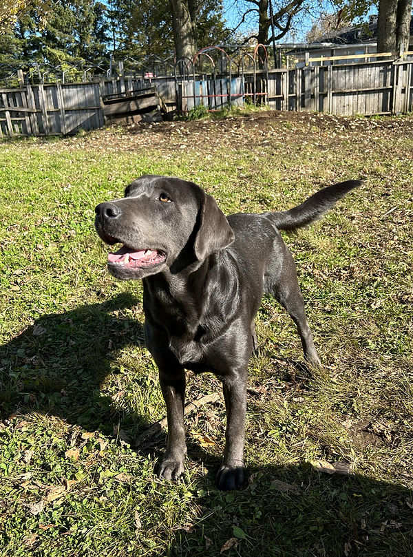 Neeve2 2024-10-19.jfif