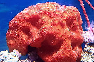 0f7b9d_73d3525b88ac44ee8b3ec0a721e6ae3a~