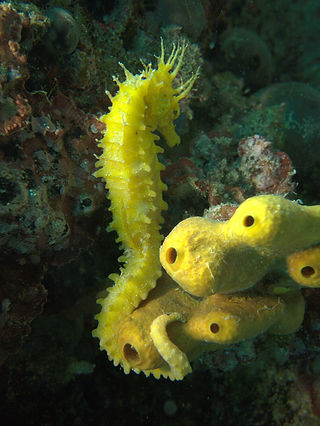 (c) Marjolein Vereijken.jpg