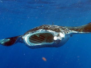 (c) Matteo Cassella_edited.jpg