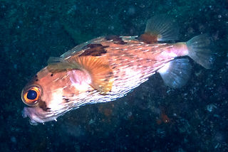 (c) David Novo_edited.jpg