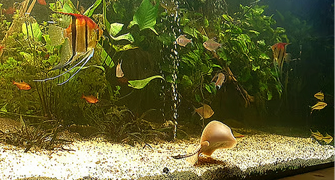 eec7aed8-ffe5-4944-8aa6-38b646bfcb5d_edi