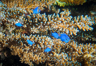 (c) Susanne Spindler.jpeg