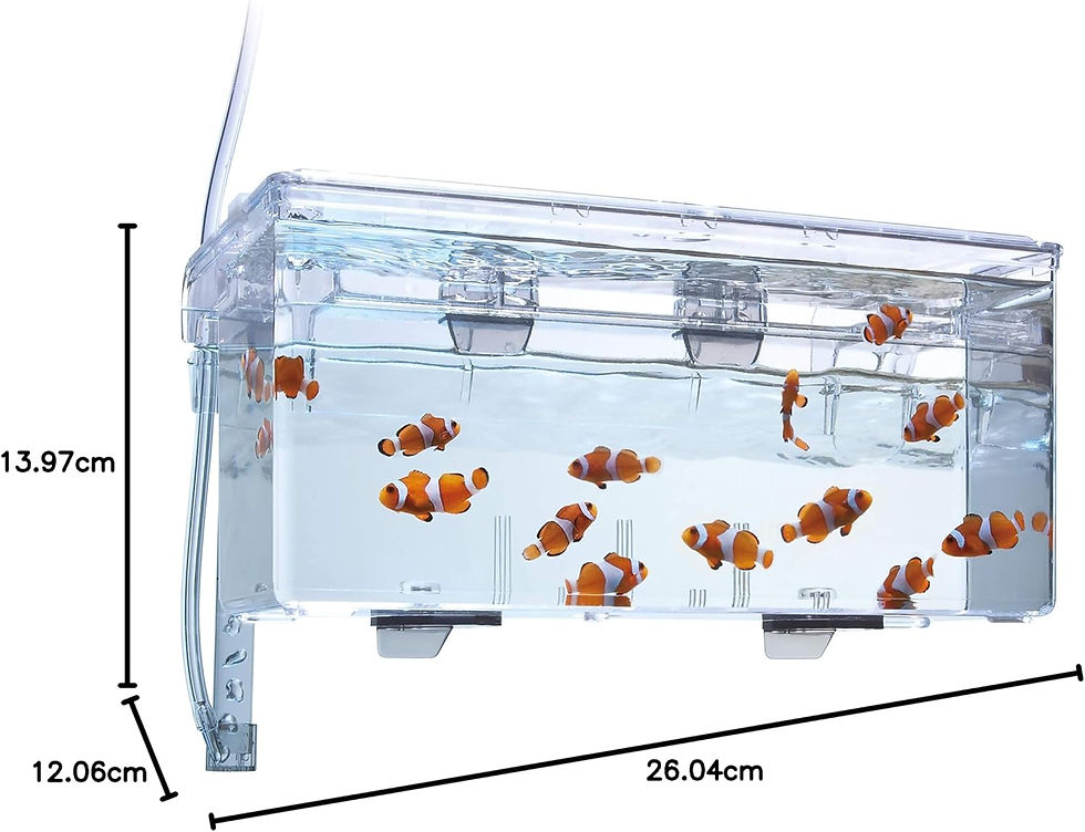Miniaturbild: Fluval Hang-On Aufzuchtbecken L, 1,9 Liter