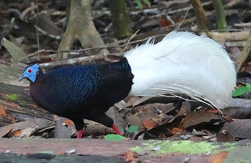 original (1)_edited.jpg