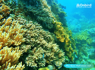(c) OnBird Phu Quoc.png