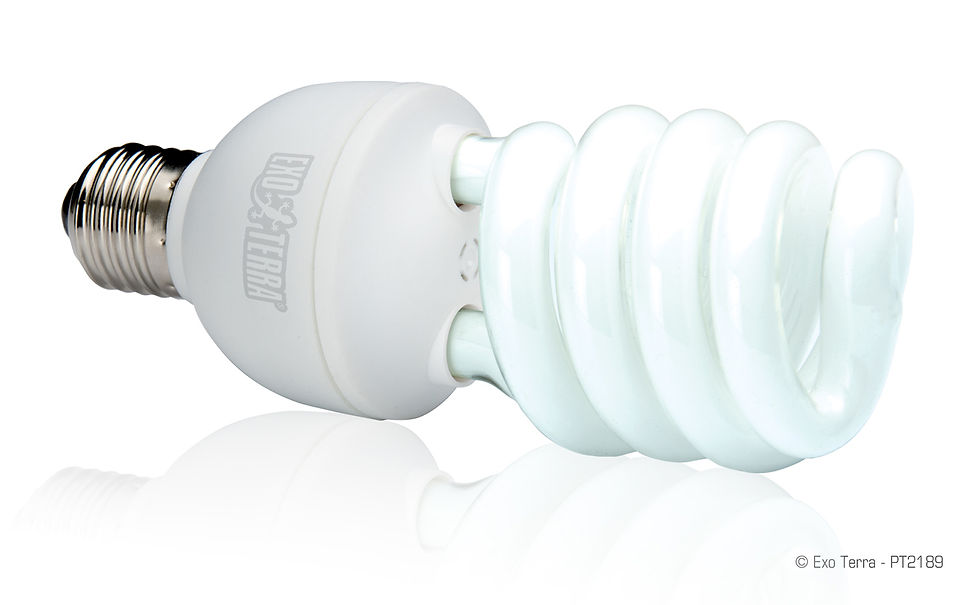 Miniaturbild: Exo Terra Reptile UVB150, 25 Watt Kompaktlampe