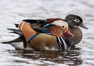 (c) Martin Tremblay_edited.jpg