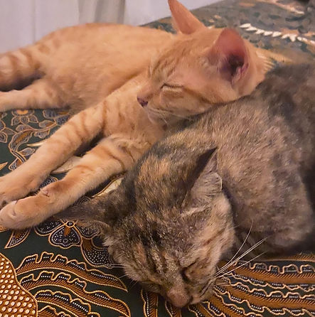 red and luna 1JPG.JPG