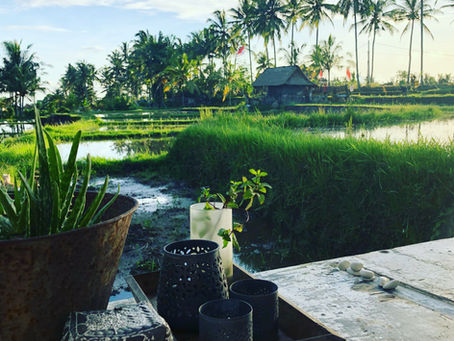 Life Here and Now - A Reflection on What is Home