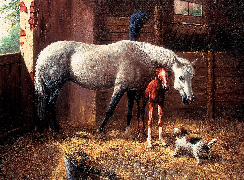 That's My Boy jigsaw puzzle by grovely puzzles