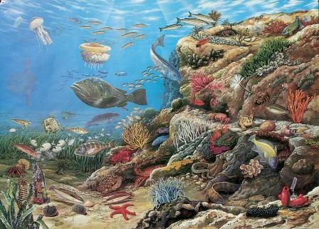 Francois Crozat Mediterranean jigsaw puzzle by grovely puzzles