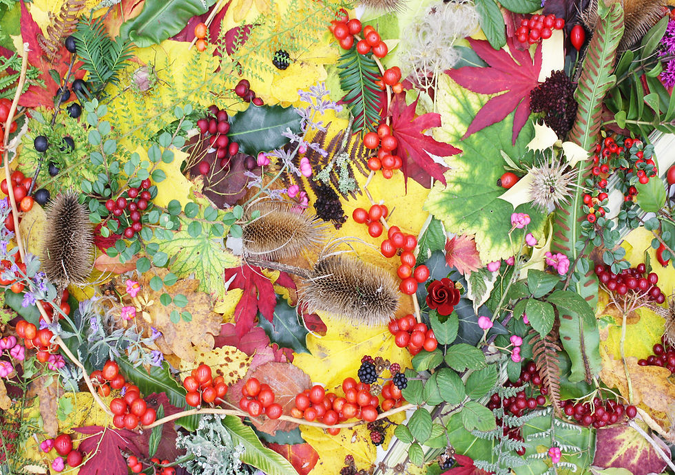 Claire Bessant Red Berries jigsaw puzzle by grovely puzzles