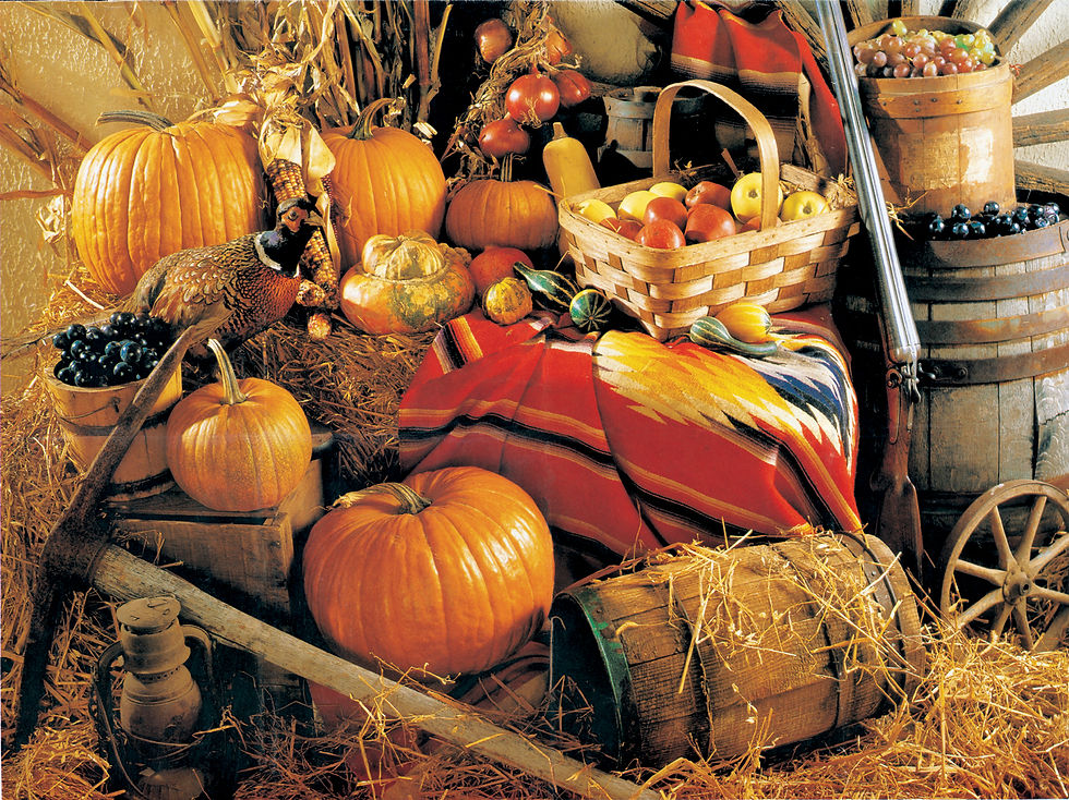 Autumn fruits still life jigsaw puzzle by grovely puzzles