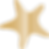 Starfish Silhouette.png