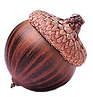 ACORN_NOSHADOW_TRANSPARENT.png